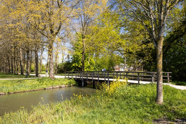 Medium property photo - Reigerskamp 68A, 3607 HD Maarssen